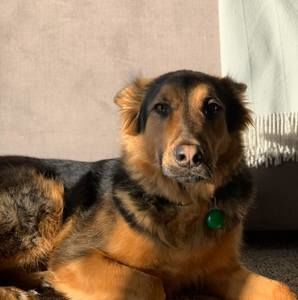 Meet your Posher, Harper